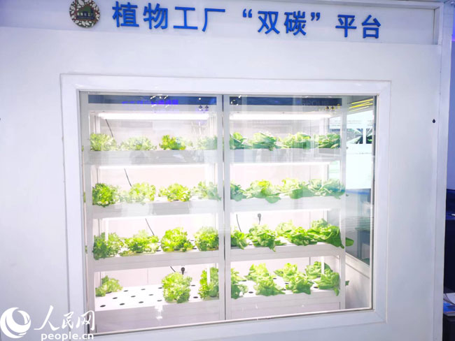 財(cái)經(jīng)觀察 激發(fā)創(chuàng)新源頭活力，科技賦能數(shù)字內(nèi)容，讓生活更精彩